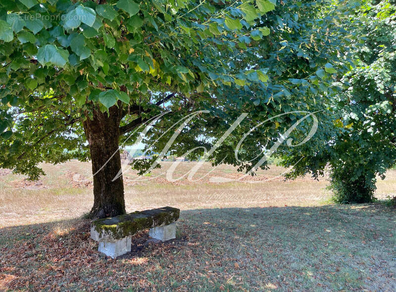 Maison à BONNEVILLE-ET-SAINT-AVIT-DE-FUMADIERES