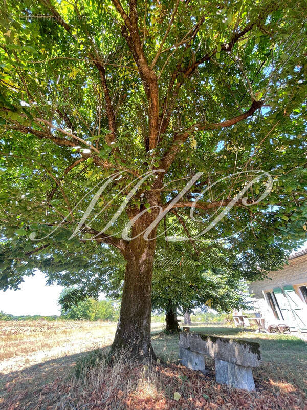 Maison à BONNEVILLE-ET-SAINT-AVIT-DE-FUMADIERES