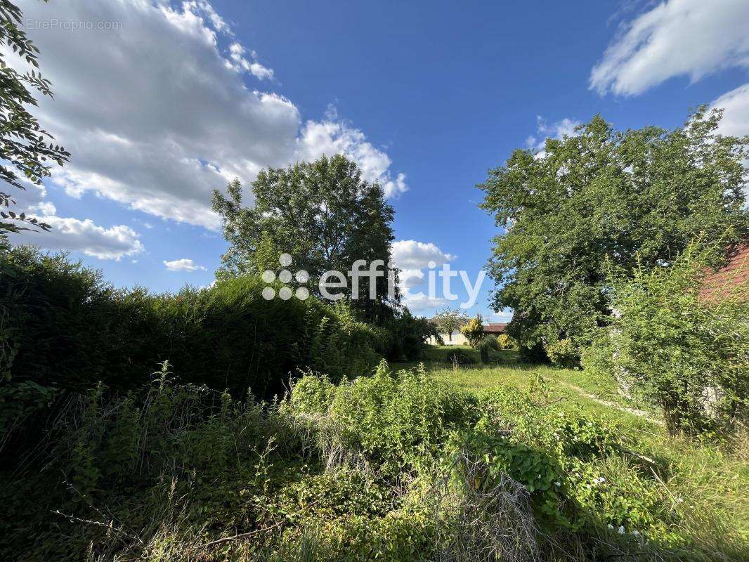 Terrain à COURMELLES