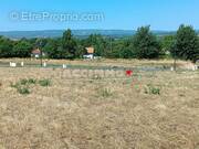 Terrain à LABRUGUIERE