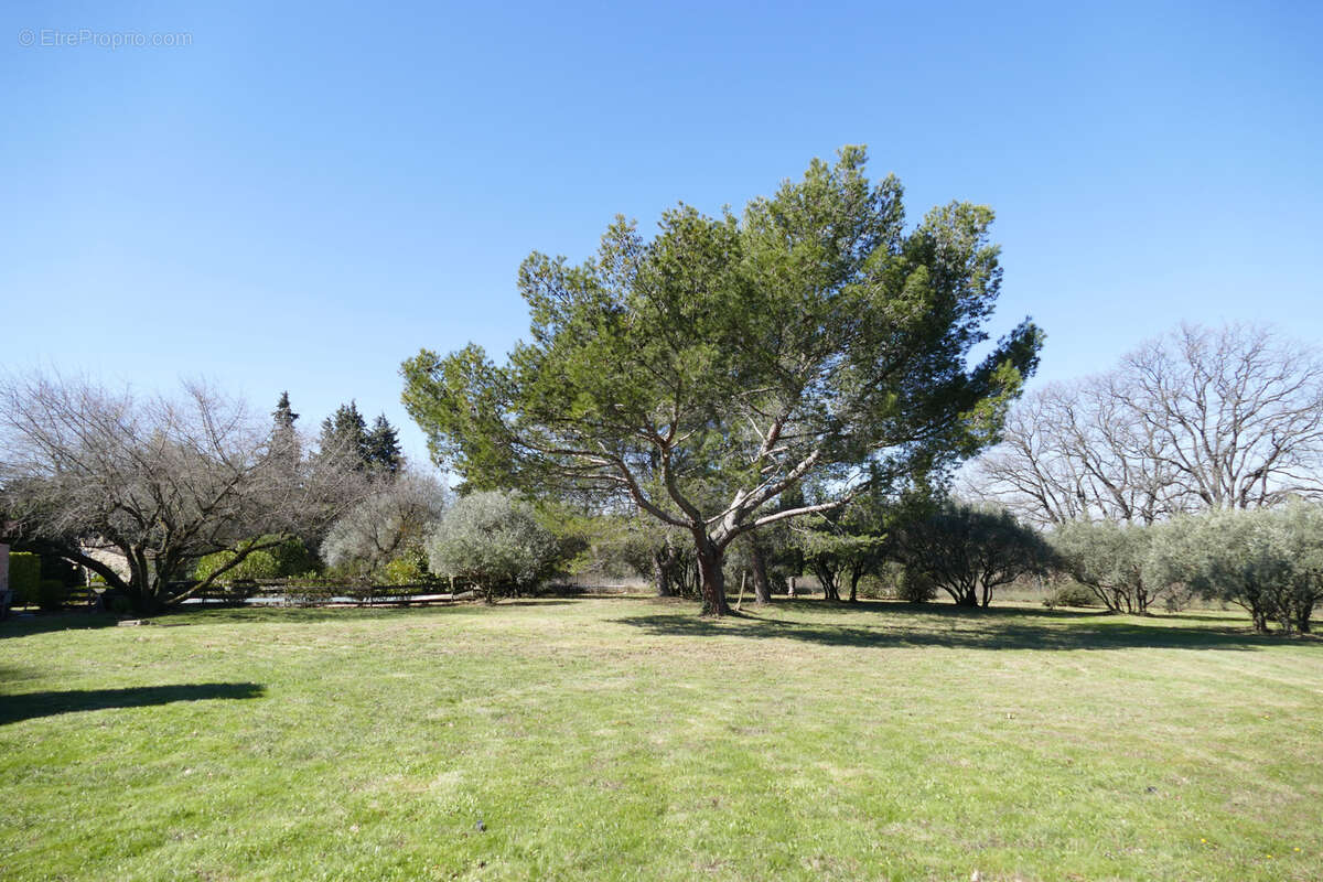 Maison à CARPENTRAS