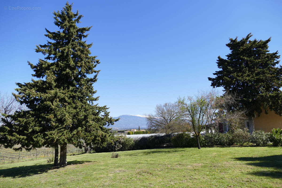Maison à CARPENTRAS