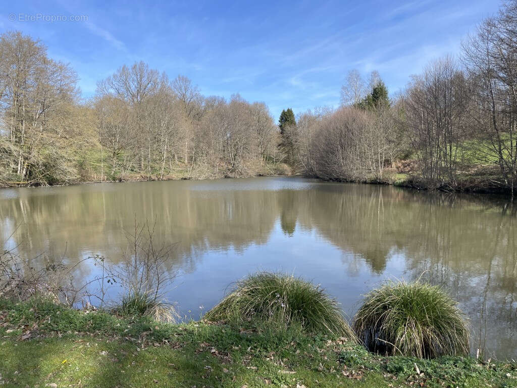 Maison à SAINT-SORNIN-LAVOLPS
