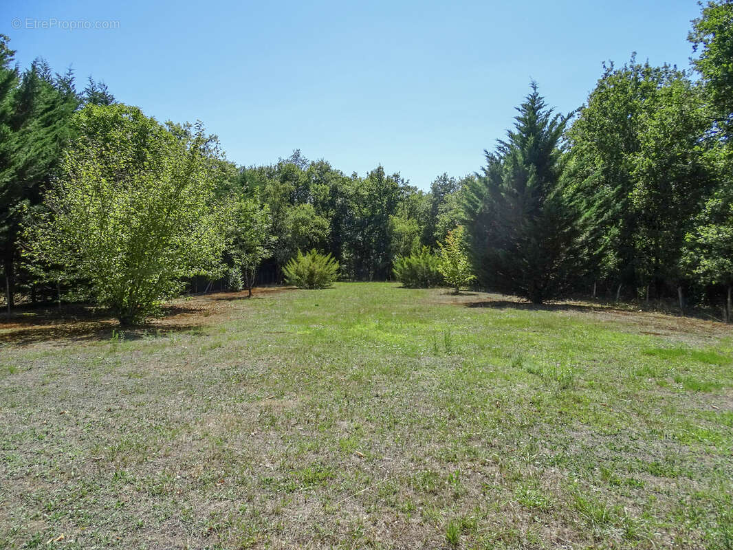 Maison à CHATRES-SUR-CHER