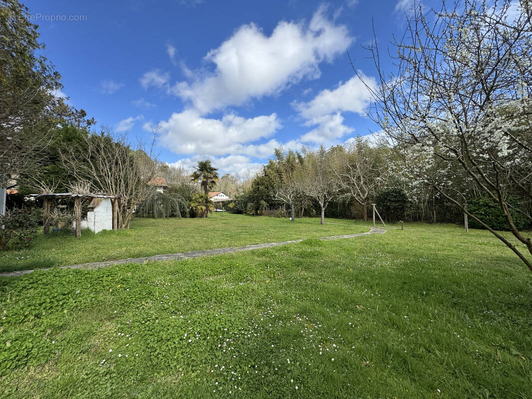Terrain à BOUCAU