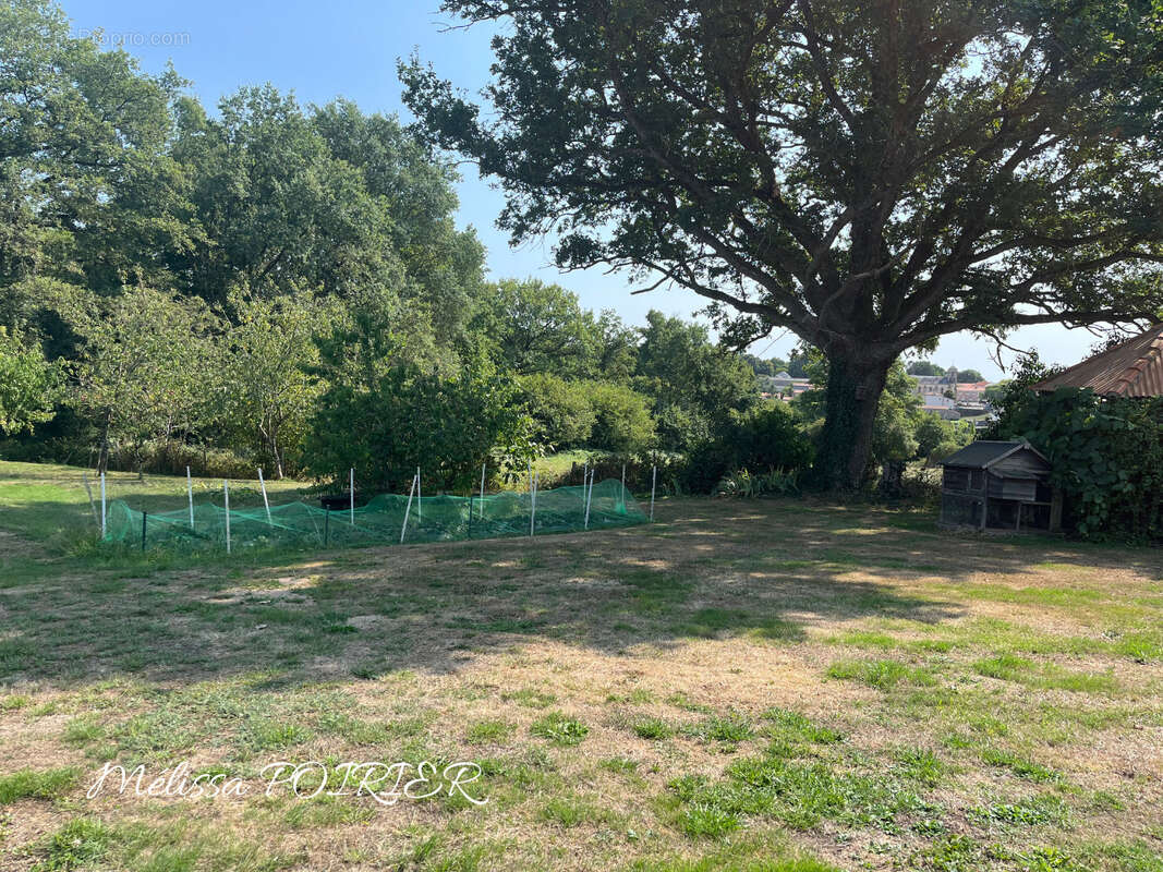 Maison à MORTAGNE-SUR-SEVRE