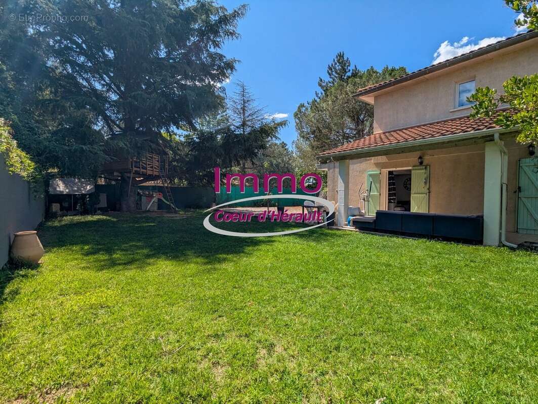 Maison à SAINT-ANDRE-DE-SANGONIS