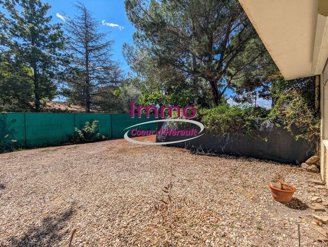 Maison à SAINT-ANDRE-DE-SANGONIS