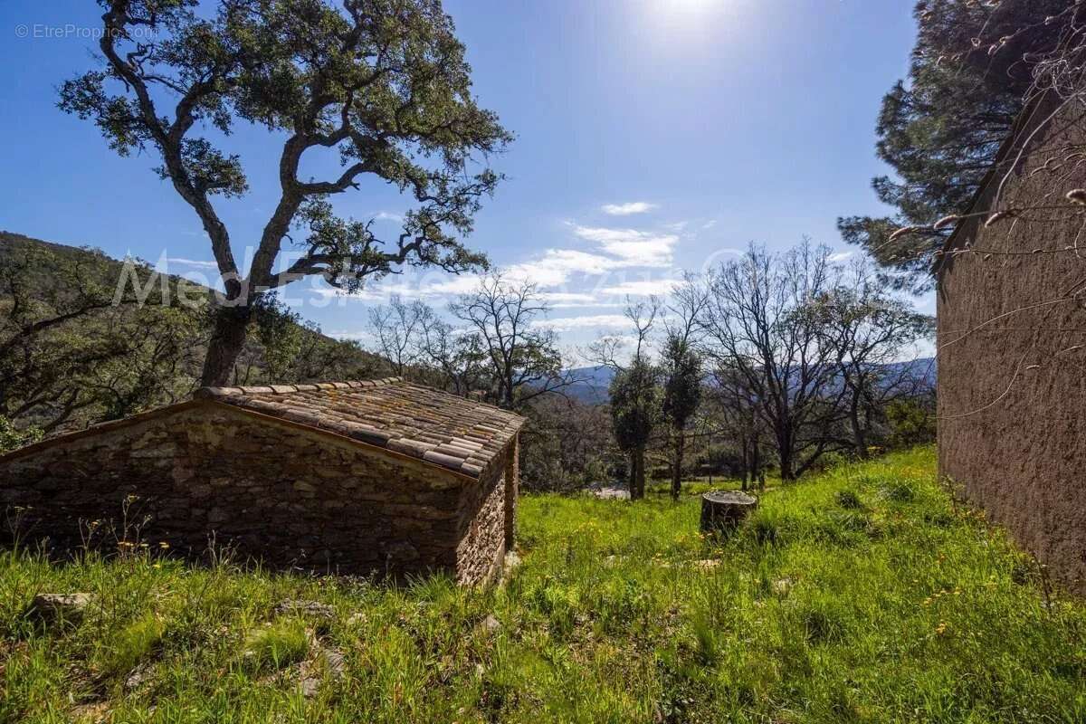 Maison à LA GARDE-FREINET