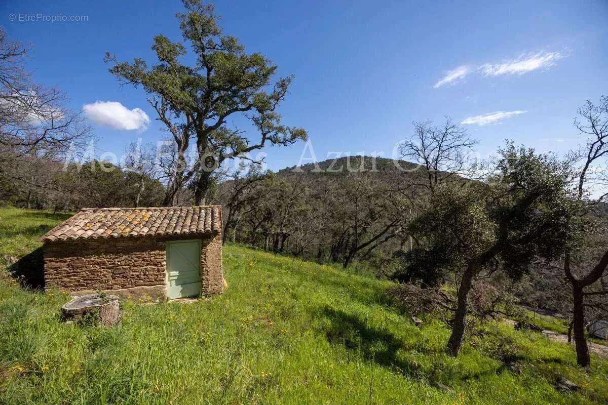 Maison à LA GARDE-FREINET