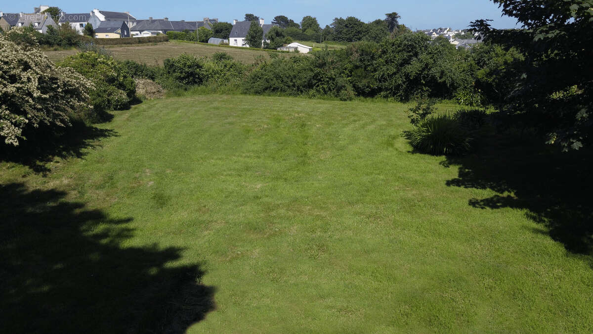 Terrain à TREFLEZ