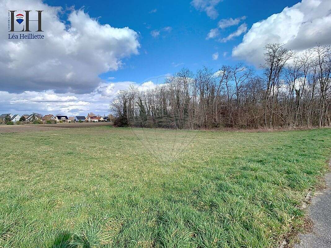 Terrain à ALGOLSHEIM