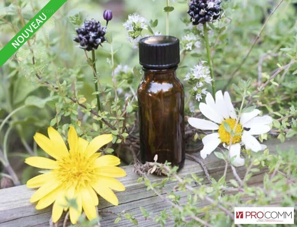 Commerce à SAINT-PIERRE