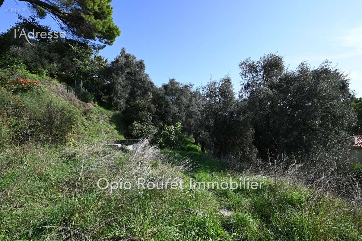Terrain à GRASSE