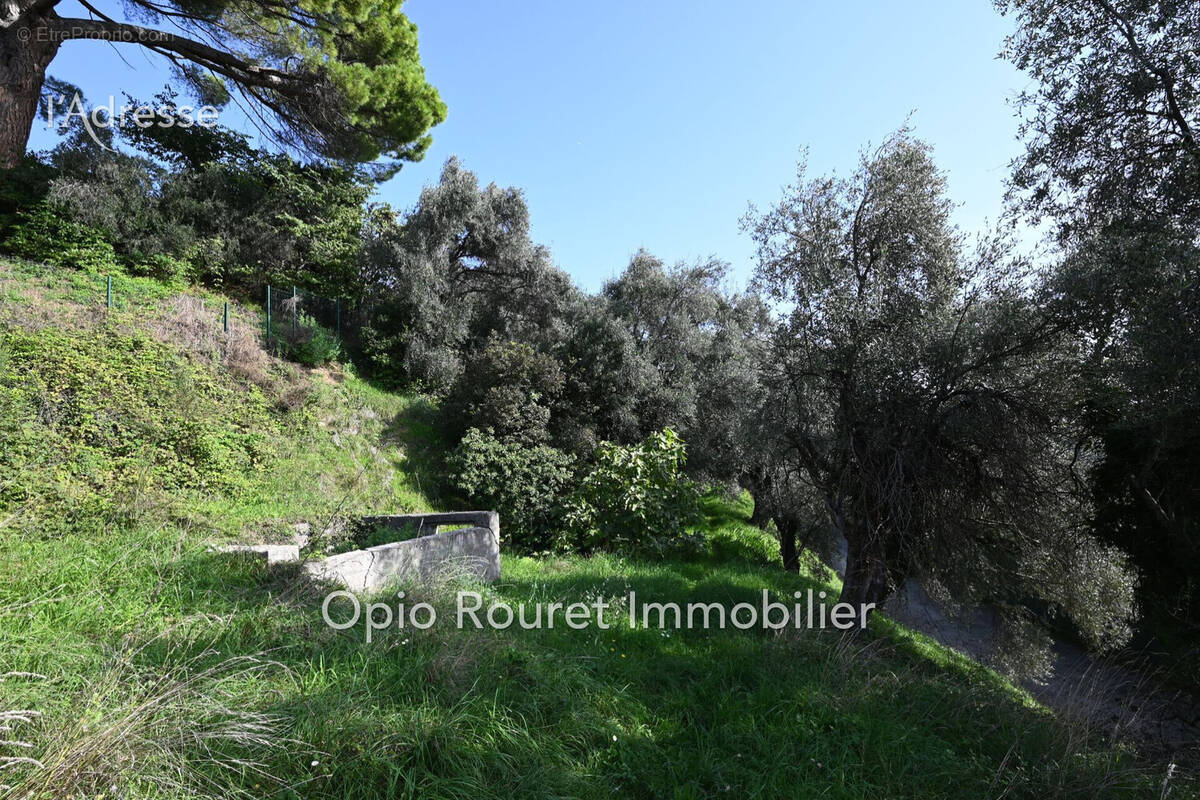 Terrain à GRASSE