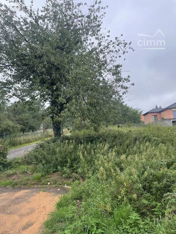 Terrain à NOUSSEVILLER-SAINT-NABOR