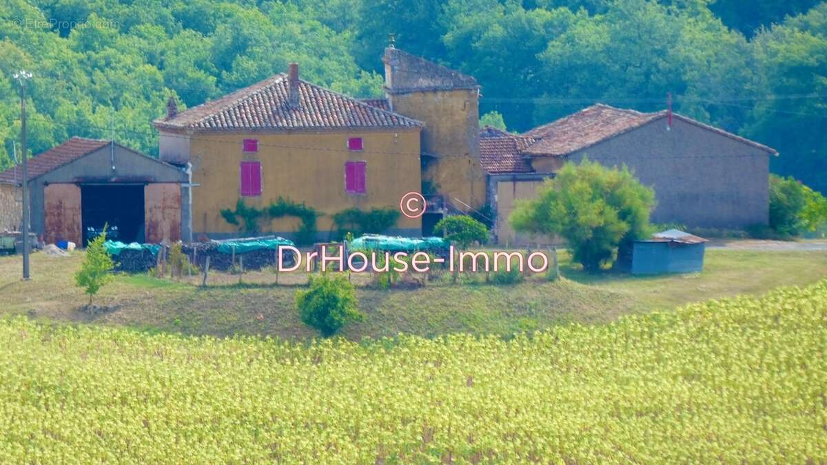 Maison à CORDES-SUR-CIEL