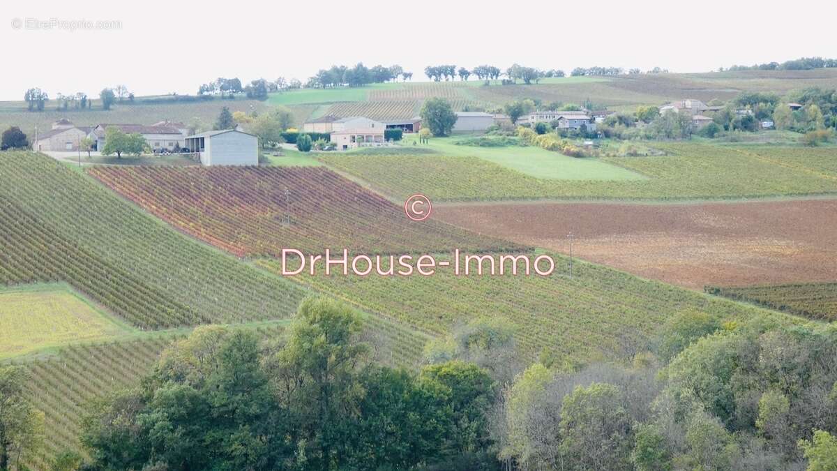 Maison à CORDES-SUR-CIEL