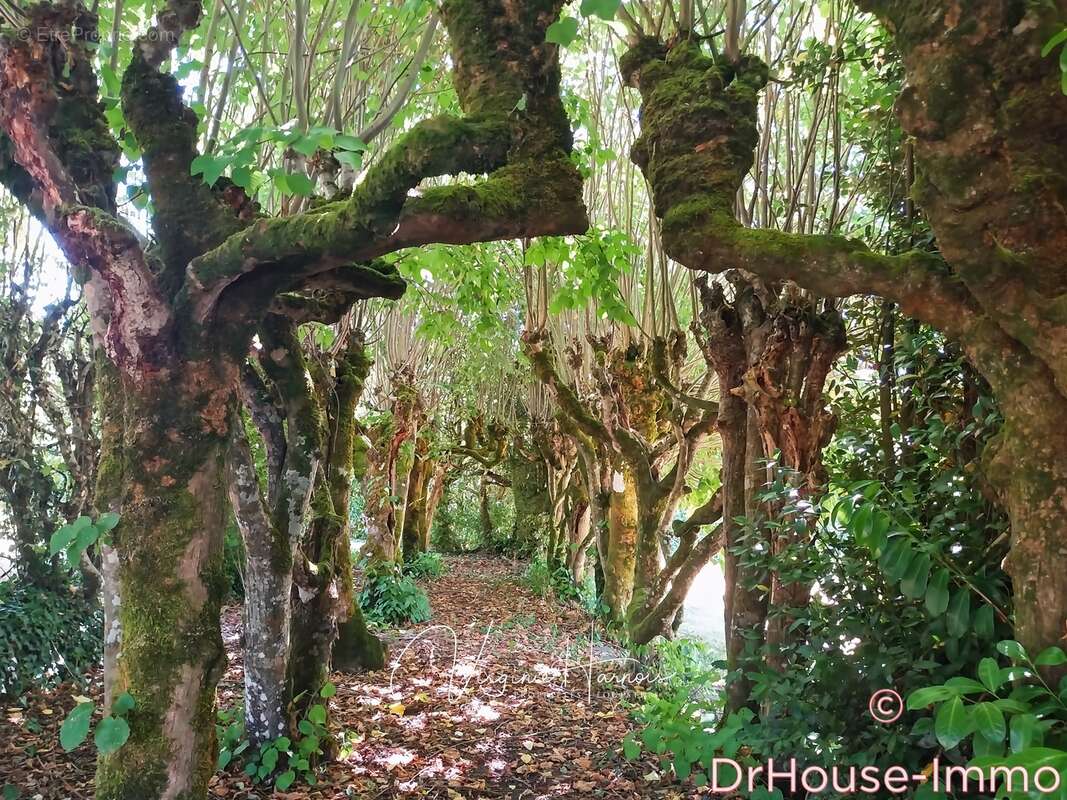 Maison à TESSE-FROULAY