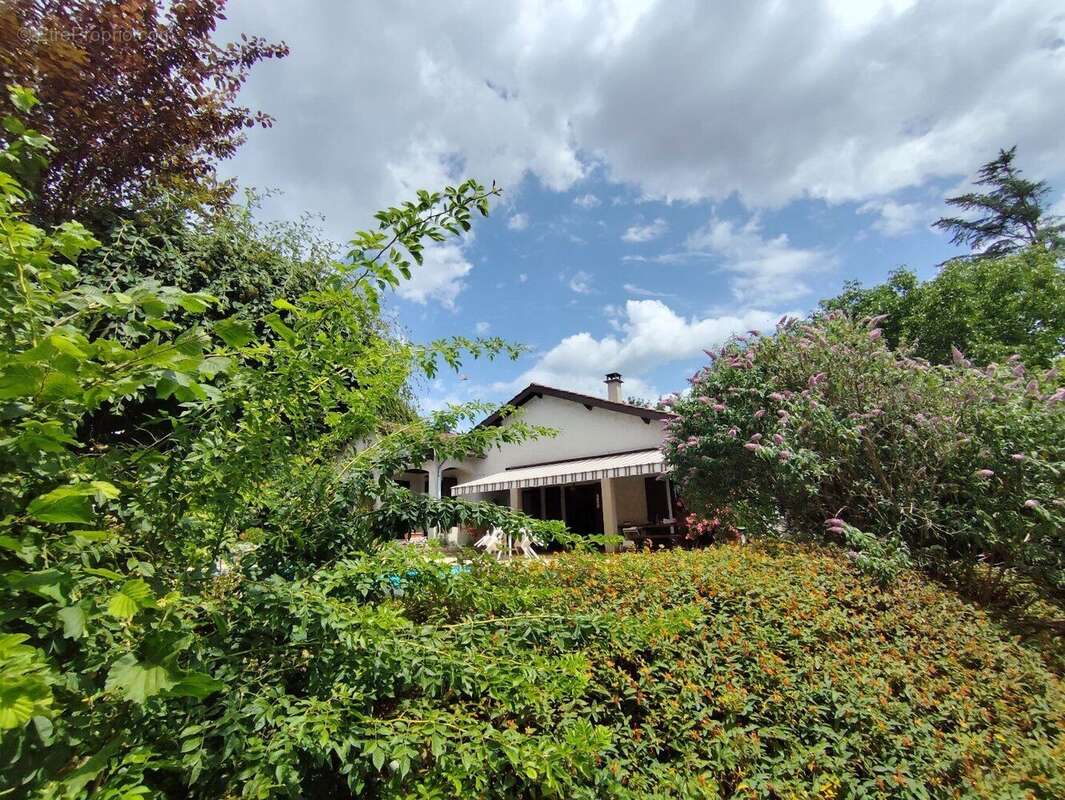 Photo 3 - Maison à SAINT-GENIS-LES-OLLIERES