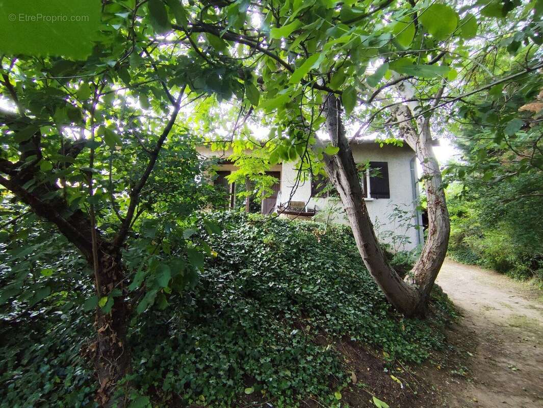 Photo 8 - Maison à SAINT-GENIS-LES-OLLIERES