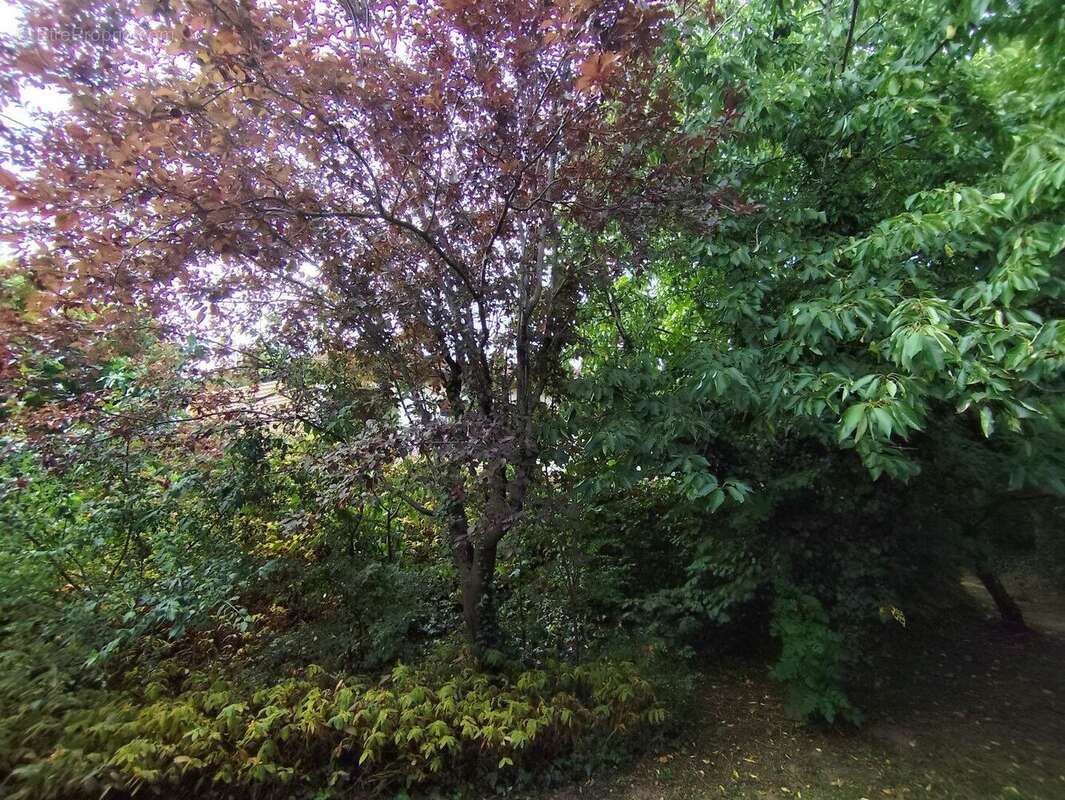 Photo 9 - Maison à SAINT-GENIS-LES-OLLIERES