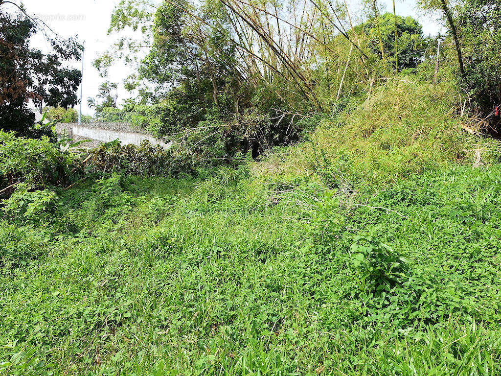 Terrain à SAINT-DENIS