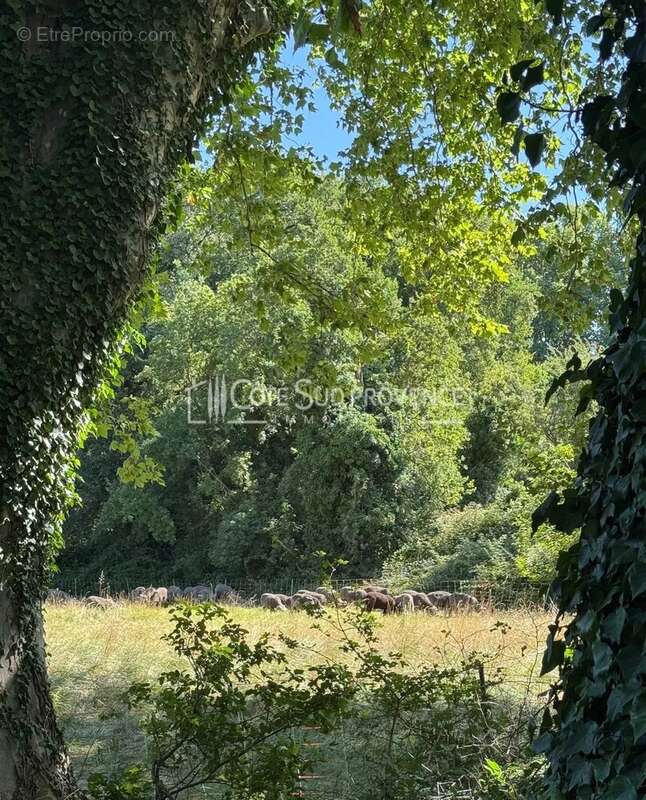 Maison à PERNES-LES-FONTAINES