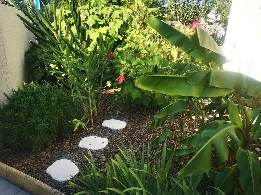 Maison à PALAU-DEL-VIDRE