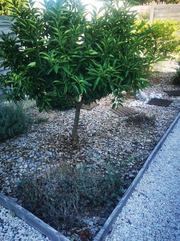 Maison à PALAU-DEL-VIDRE