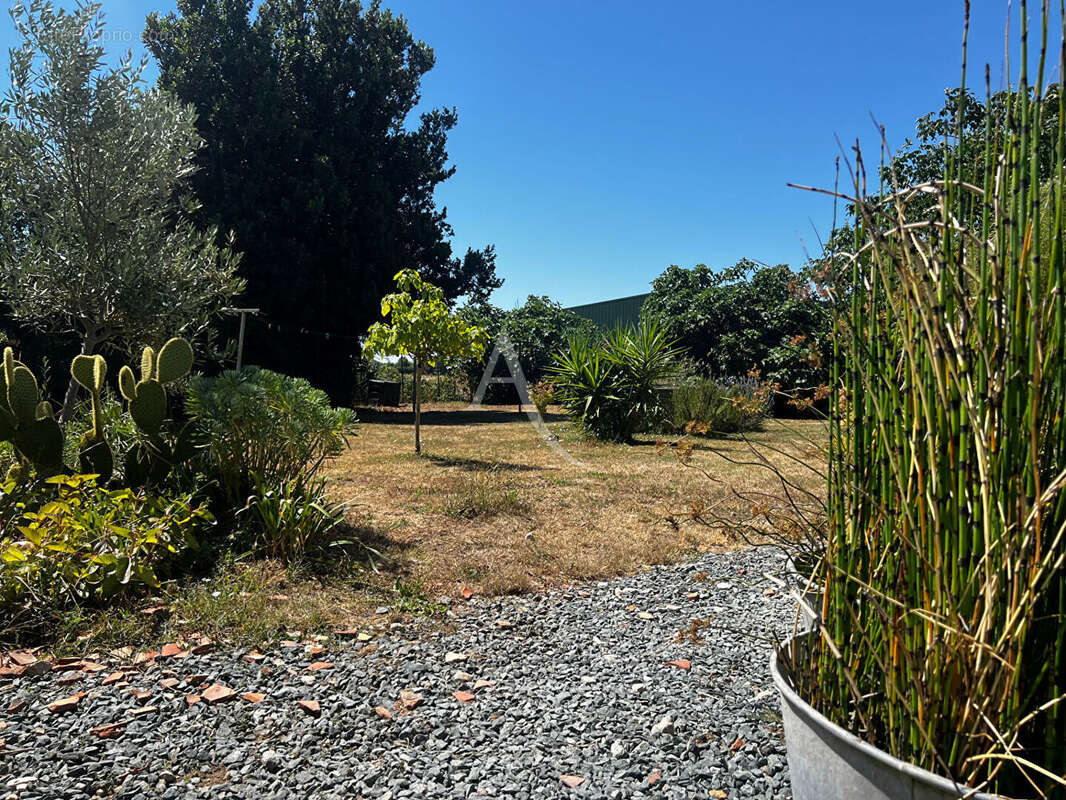 Maison à LA TAILLEE