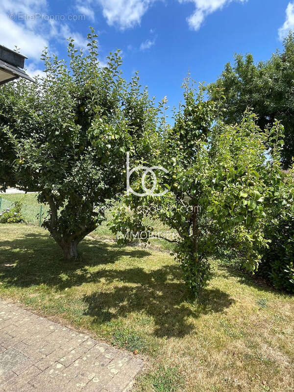 Maison à SAINT-GILDAS-DE-RHUYS