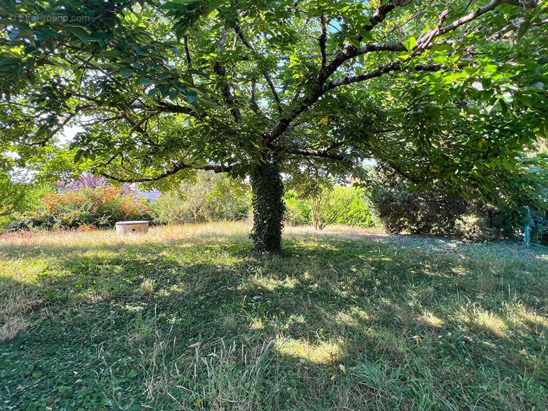 Maison à L&#039;UNION