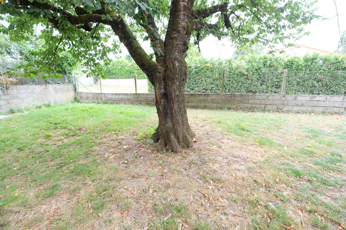 Appartement à COLOMIERS
