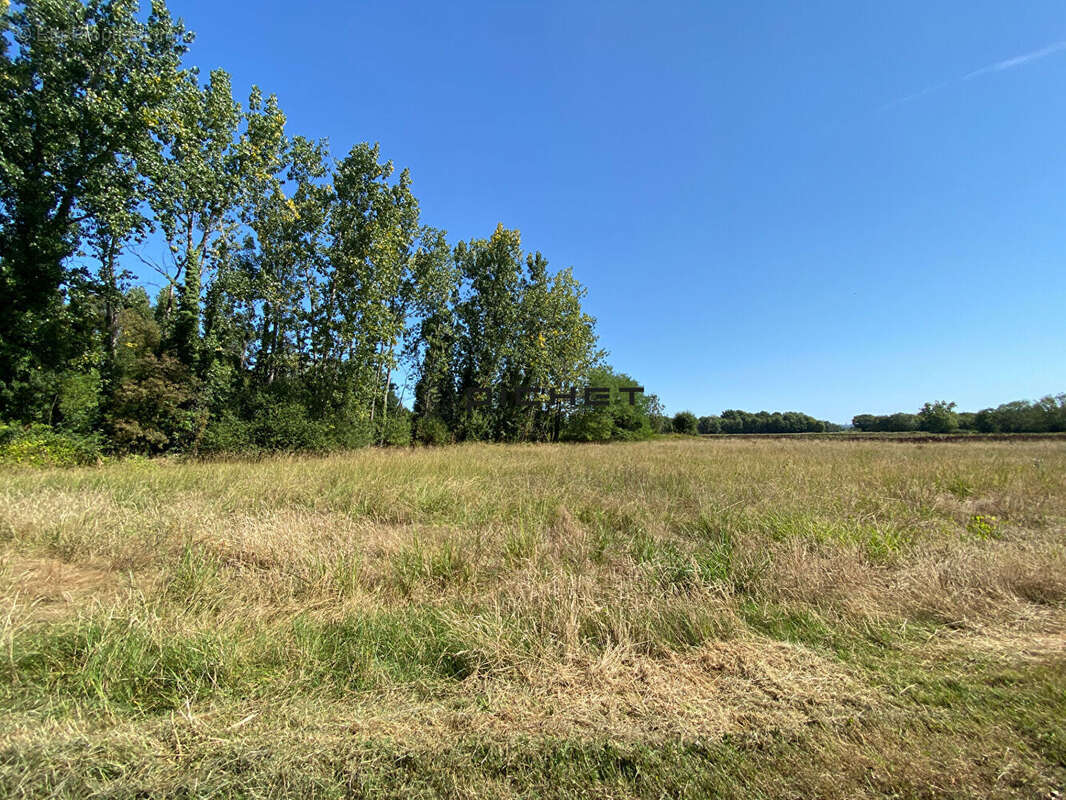 Terrain à GENISSAC