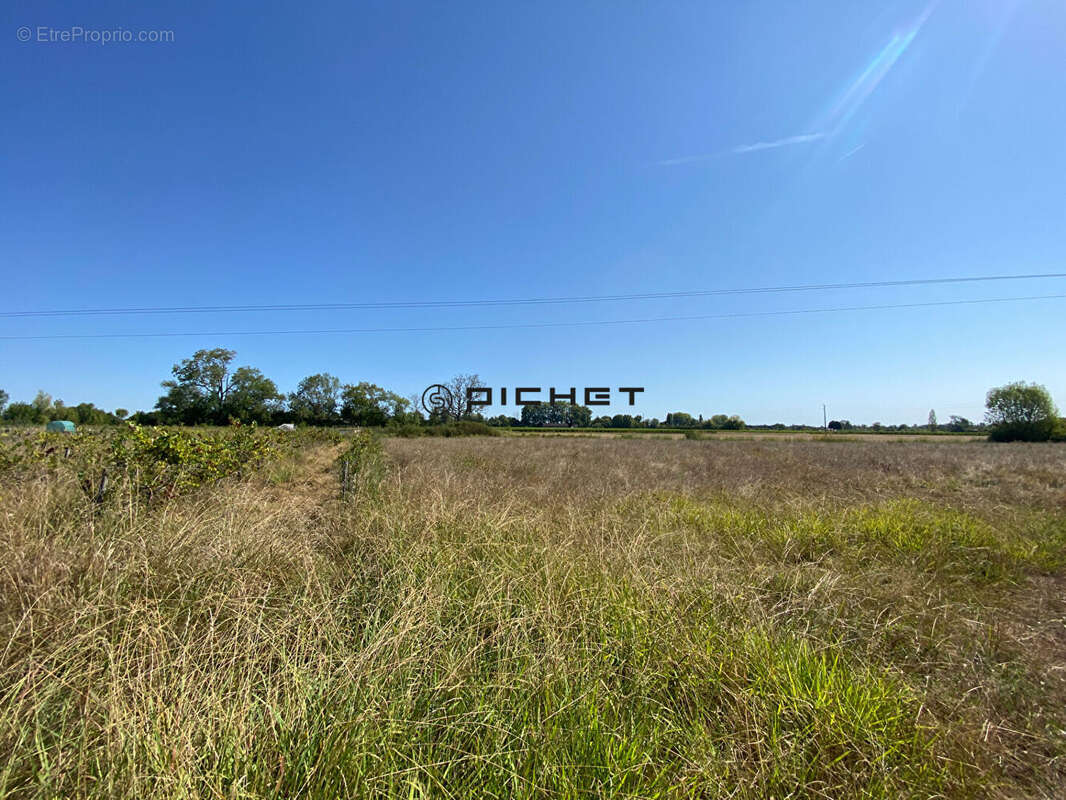 Terrain à GENISSAC