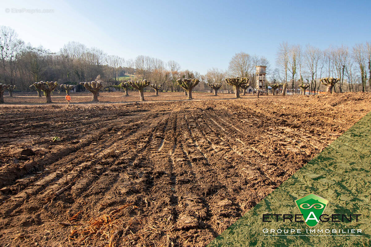 Terrain à ARRONVILLE