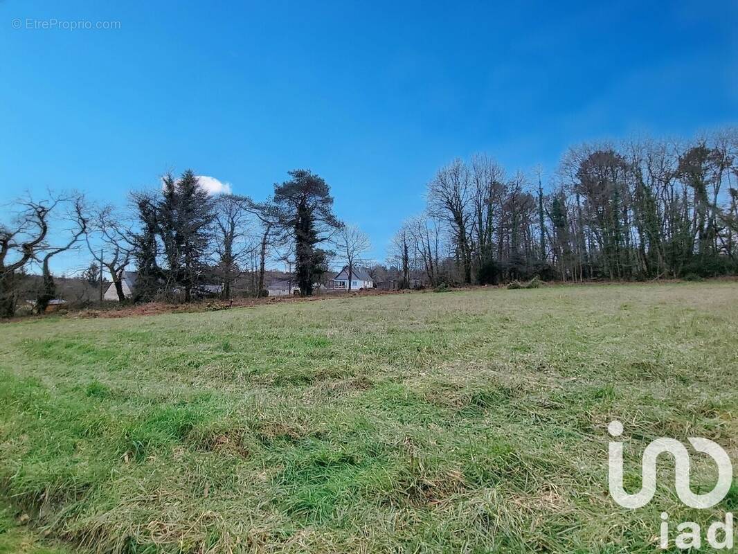 Photo 1 - Terrain à CAMORS