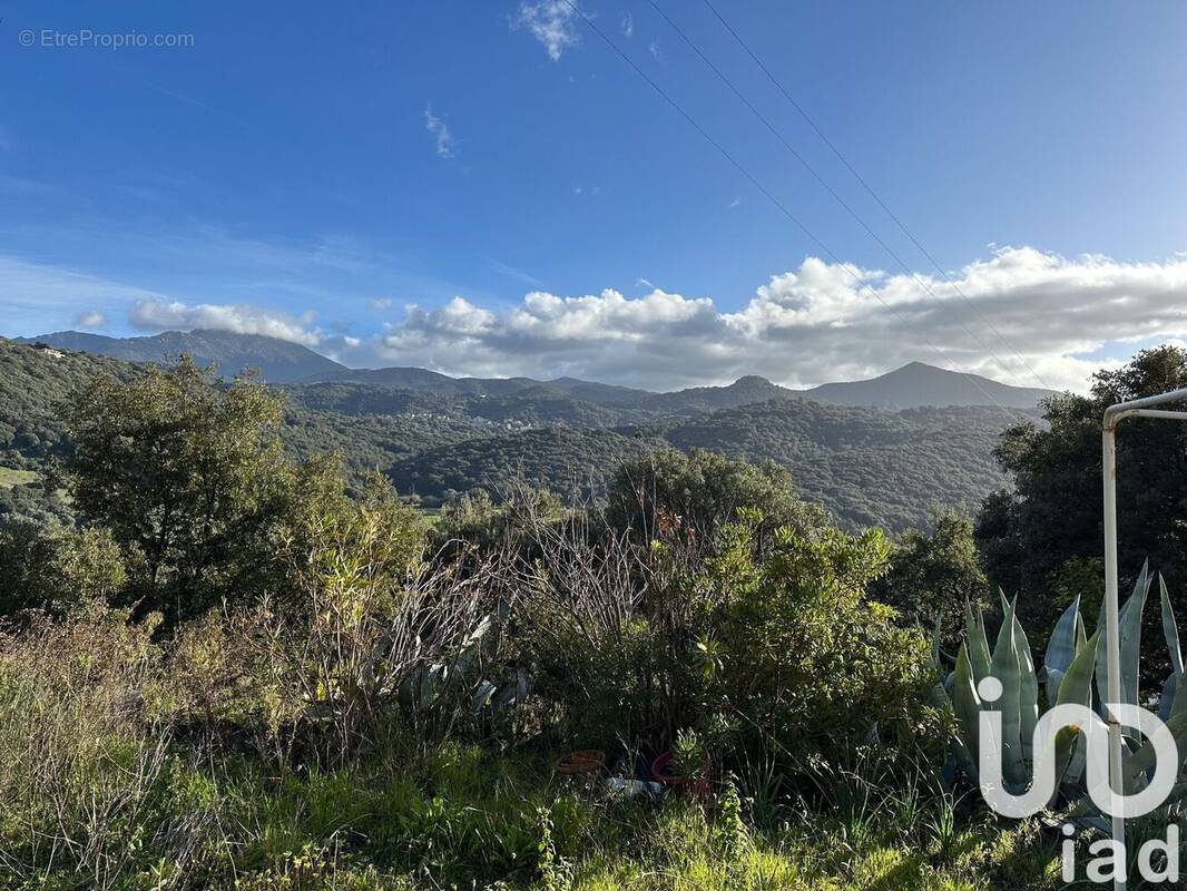 Photo 1 - Terrain à OCANA