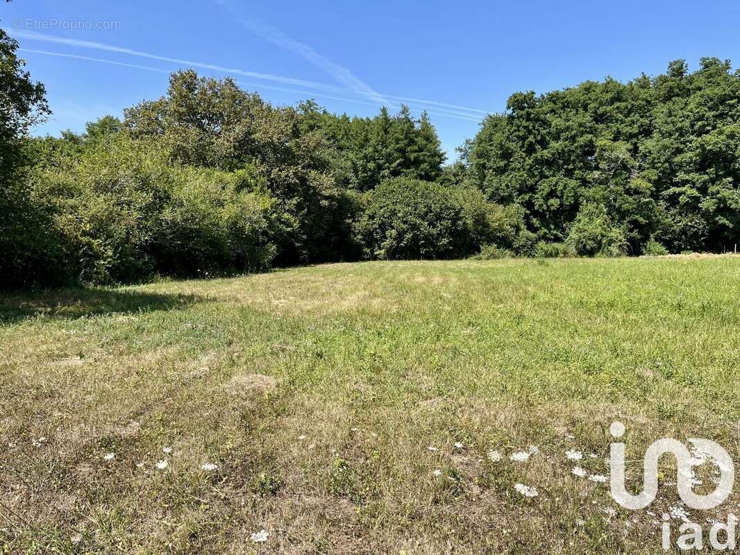 Photo 2 - Terrain à LIGNAN-DE-BAZAS