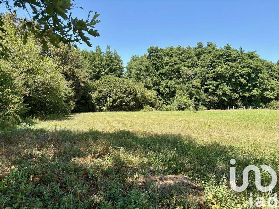 Photo 2 - Terrain à LIGNAN-DE-BAZAS