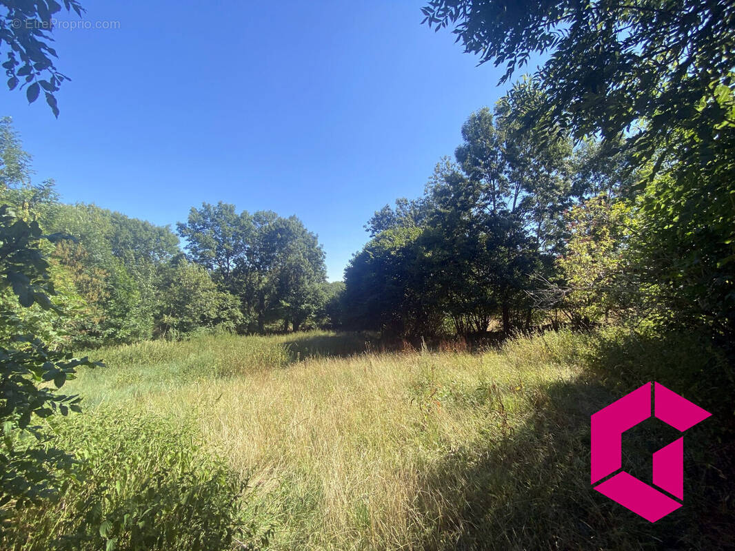 Terrain à SAINT-PIERRE-DU-CHAMP