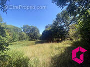 Terrain à SAINT-PIERRE-DU-CHAMP