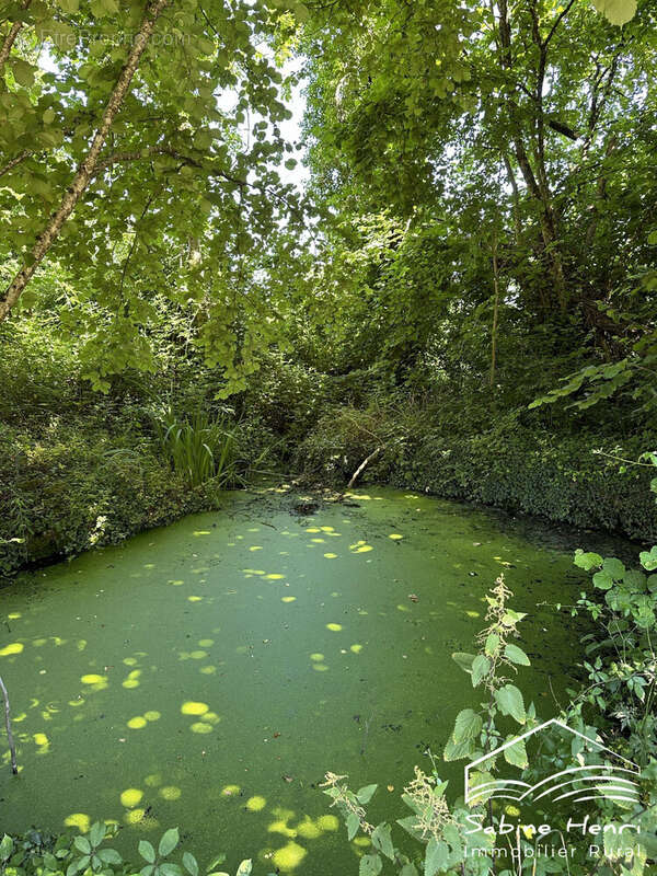 Terrain à MIRANDOL-BOURGNOUNAC