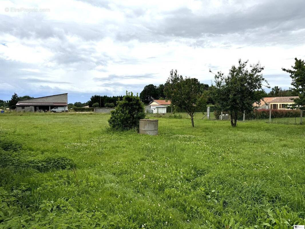 Maison à MONDAVEZAN