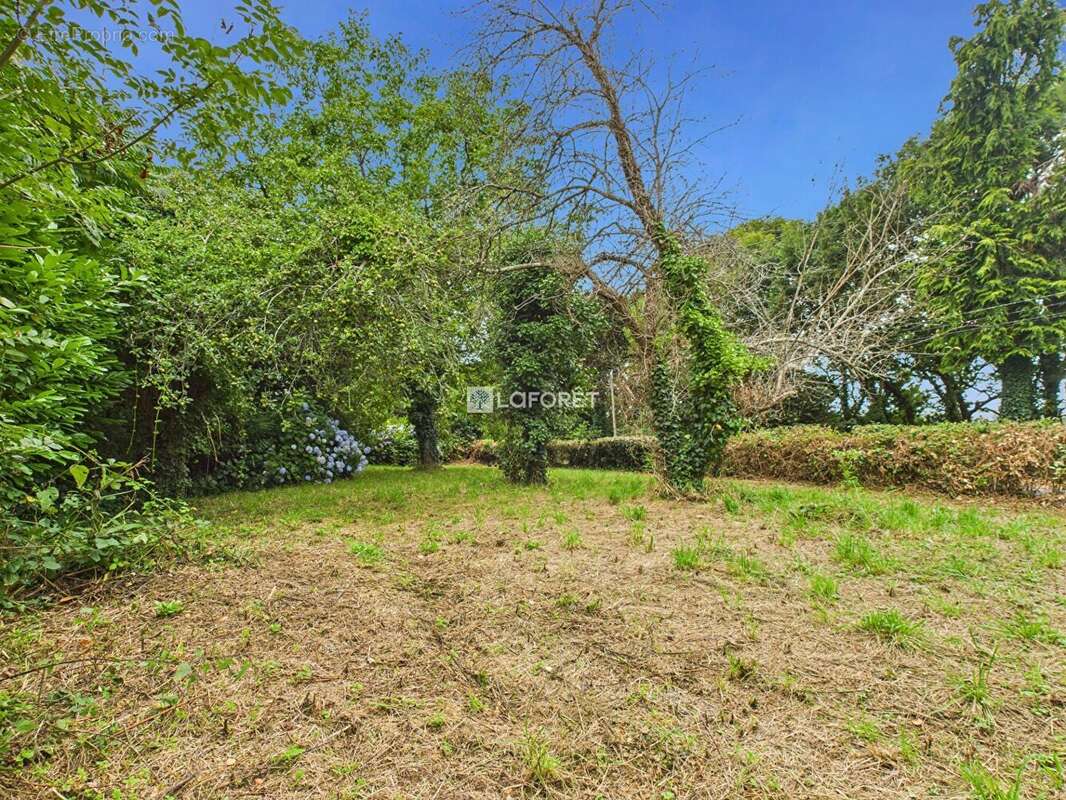 Terrain à PLONEOUR-LANVERN