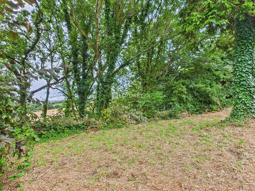Terrain à PLONEOUR-LANVERN
