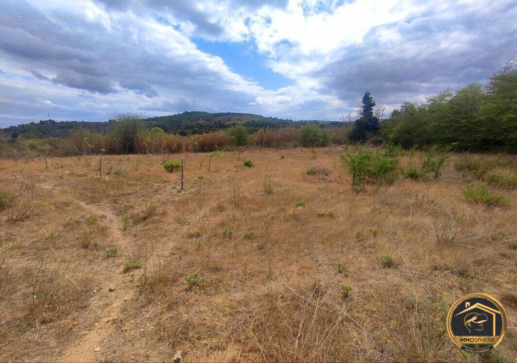 Terrain à PORTEL-DES-CORBIERES