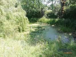 Maison à MORNAY-SUR-ALLIER