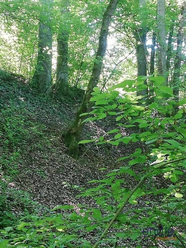 Maison à MORNAY-SUR-ALLIER